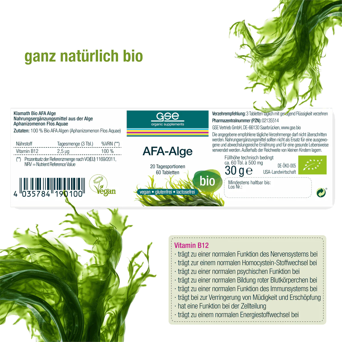 AFA-Alge (Bio) - Image 3