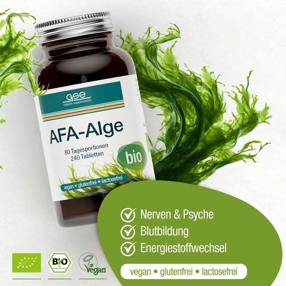 AFA-Alge (Bio) - Image 6