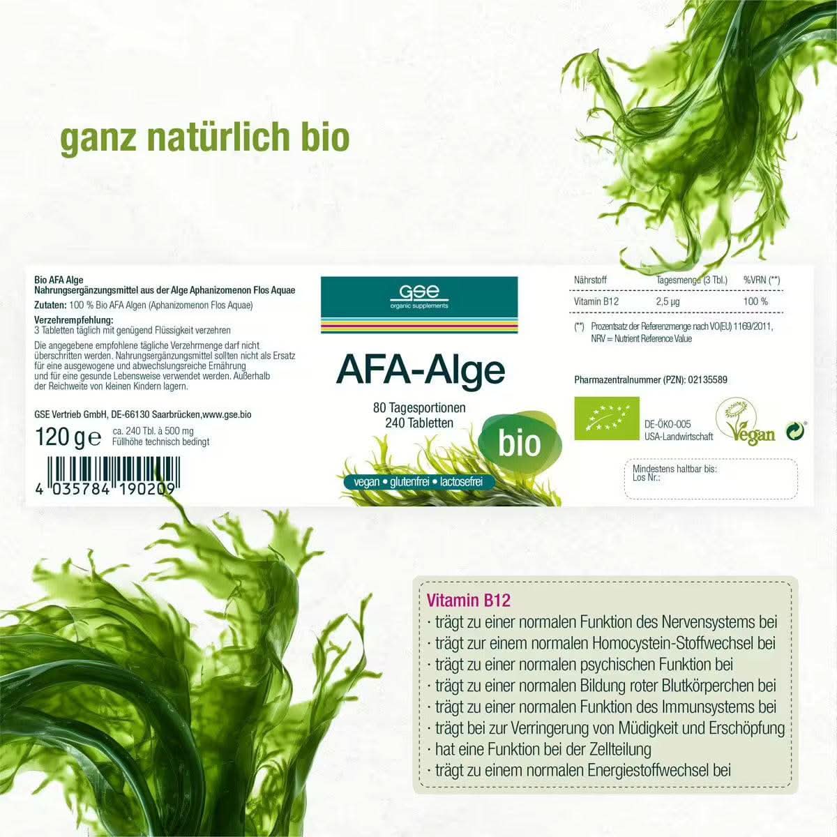 AFA-Alge (Bio) - Image 7