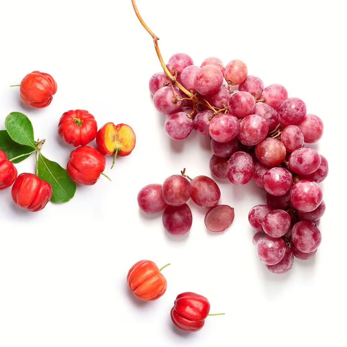 Vino C® - OPC (Bio) - Image 10